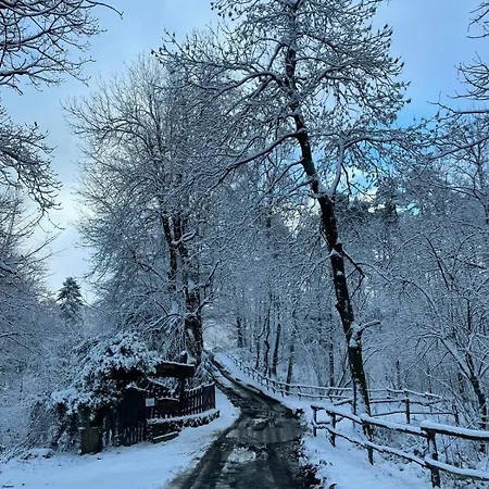 Rifugio Escursionistico Pra To Rondanino Masone